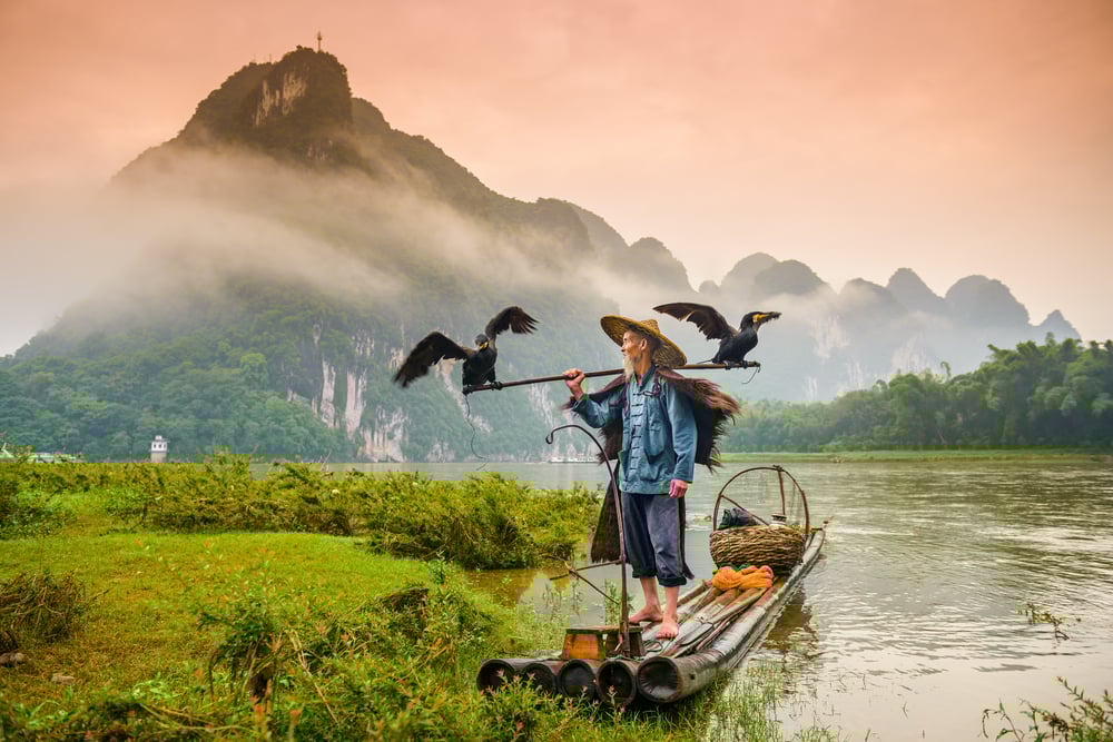 A traditional cormorant fisherman works on the Li River Yangshuo, China.